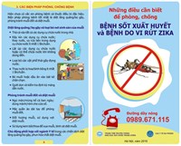 Những điều cần biết để phòng, chống bệnh sốt xuất huyết và bệnh do vi rút Zika