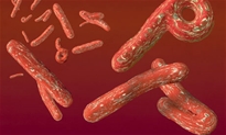 Bộ Y tế thông tin về bệnh Ebola
