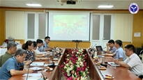 Bộ Y tế đánh giá nguy cơ bệnh do vi rút Ebola xâm nhập vào Việt Nam 