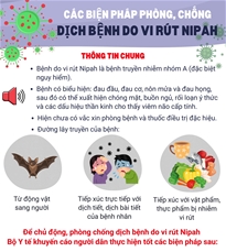 Các biện pháp phòng, chống dịch bệnh do vi rút Nipah
