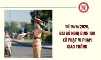 Nghị định 81/2026/NĐ-CP nâng mức phạt nồng độ cồn trong lĩnh vực giao thông đường sắt
