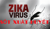 Gặp mặt báo chí cung cấp thông tin về 2 trường hợp đầu tiên xác định nhiễm vi rút Zika