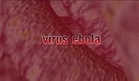 Phòng chống bệnh Ebola