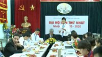 Đại hội Đảng bộ Trung tâm Truyền thống Giáo dục sức khỏe Trung ương nhiệm kỳ 2015-2020