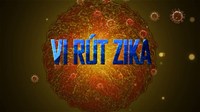 Thông điệp phòng chống Zika
