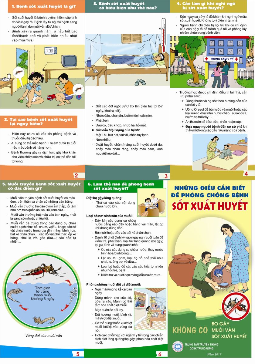 Những điều cần biết để phòng chống bệnh sốt xuất huyết (bản cập nhật 15.8.2017)
