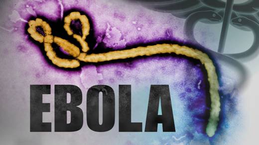 Y tế Việt Nam sẵn sàng đối phó dịch bệnh do vi rút Ebola