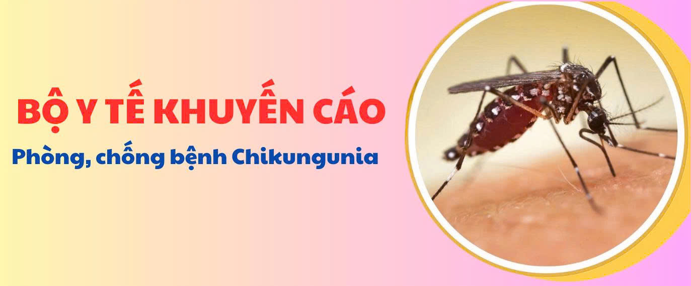 Khuyến cáo của Bộ Y tế phòng, chống bệnh Chikungunia