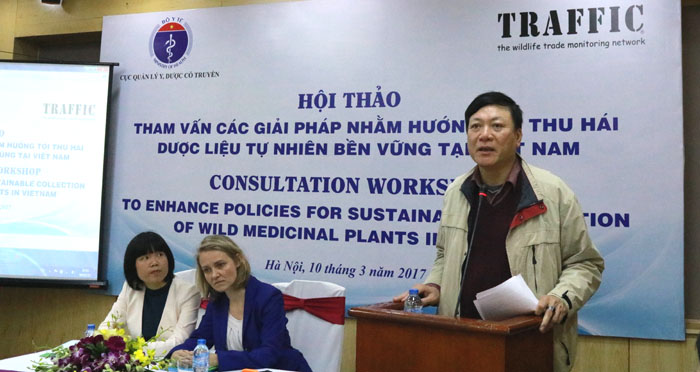 Tham vấn các giải pháp để khai thác dược liệu tự nhiên tại Việt Nam theo hướng bền vững 