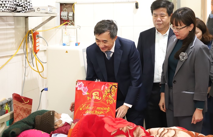 Việt Nam đã đạt được nhiều thành tựu quan trọng trong công tác chăm sóc sức khỏe sinh sản, sức khỏe bà mẹ - trẻ em