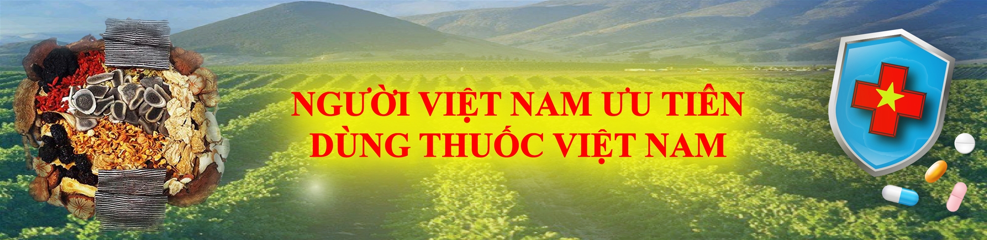 Người Việt Nam dùng thuốc Việt Nam
